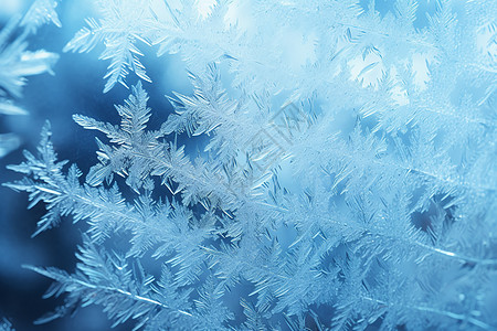 冰窗幕板白霜冰窗高清图片