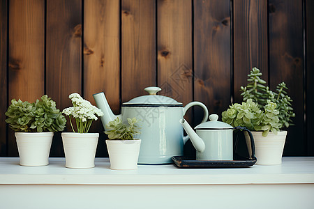 绿植和茶壶图片