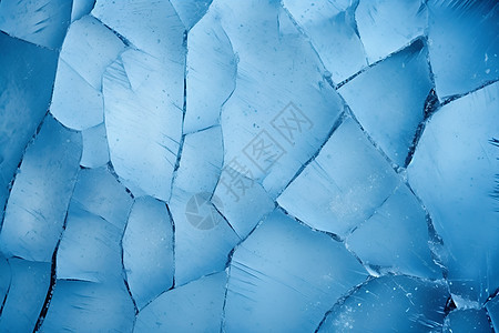 冻结的冰川图片