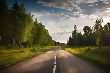 树林中的乡村道路图片