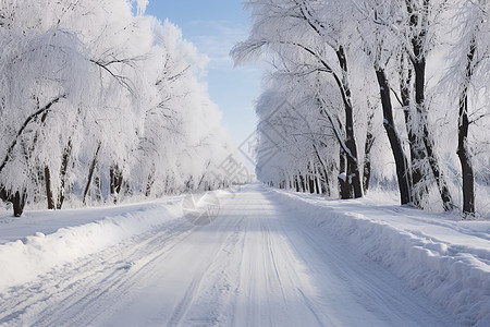 林间积雪的道路背景图片