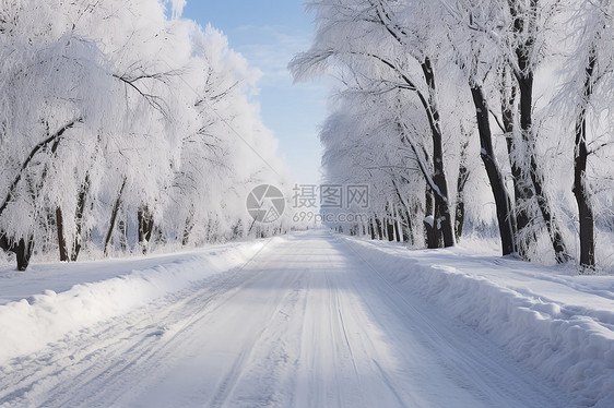 林间积雪的道路图片