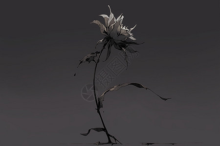凋零的花朵背景图片