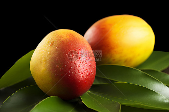 新鲜健康的芒果图片
