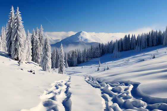 冬季山坡上的风景图片