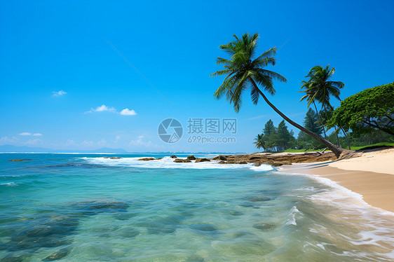 热带海滩图片