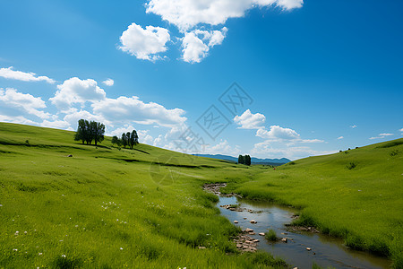 夏季草原清新绿意的草原景观背景