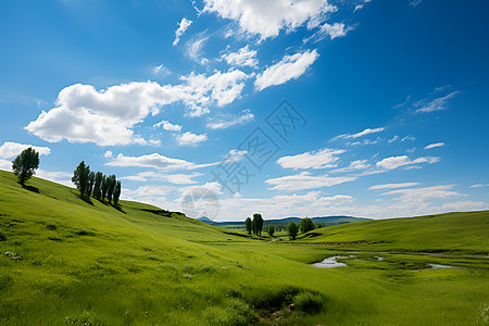 夏季草原夏季郁郁葱葱的草原景观背景