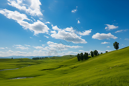 夏季草原青翠山间的美丽景观背景