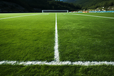 草坪上的足球赛图片
