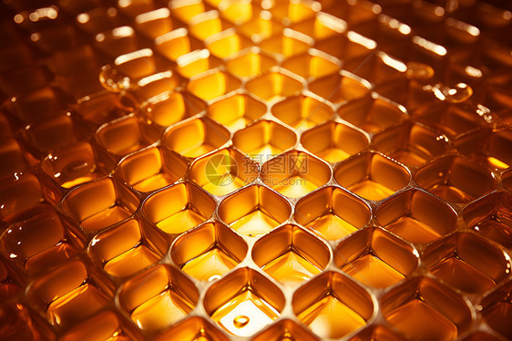 闪烁的黄金蜂巢图片