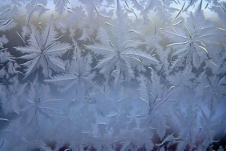 玻璃上冻结的雪花图片
