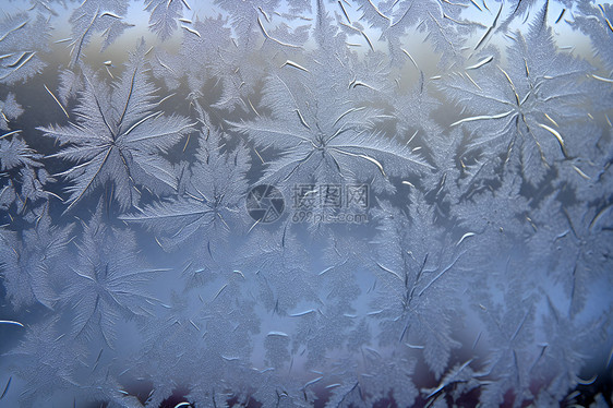 玻璃上冻结的雪花图片