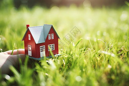 草坪上的红房子图片