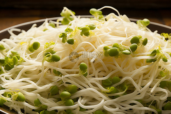 准备烹饪的豆苗食材图片