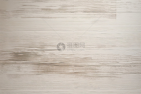 白桦木木板纹理背景图片
