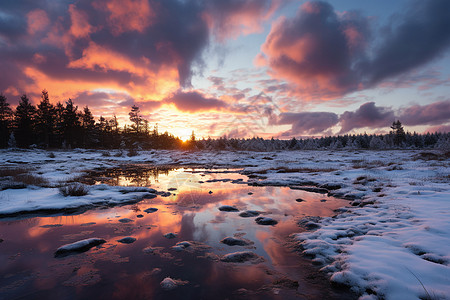 寒冷冬季白雪覆盖的湖泊景观图片