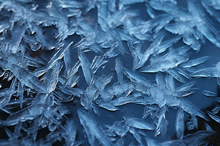 冬季冰冻的冰霜图片