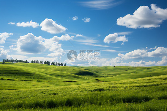 美丽的绿色草原图片