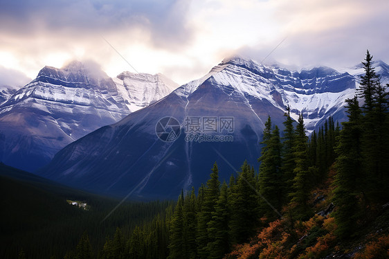 高山上的积雪图片