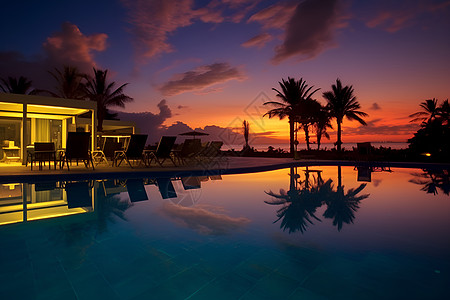 夕阳余晖下的泳池和棕榈树图片