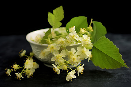 盛开的白花图片