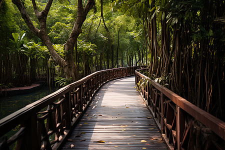 森林之桥背景图片