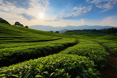 丰饶山水图片