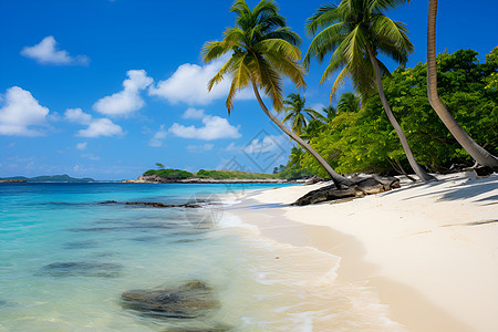 热带海滩的美丽景观图片