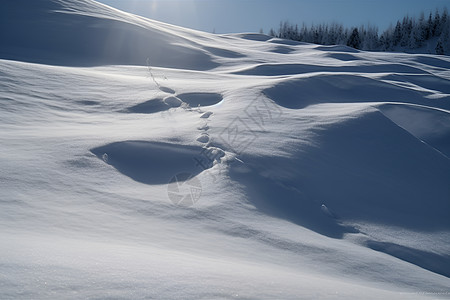 冬天的白雪背景图片