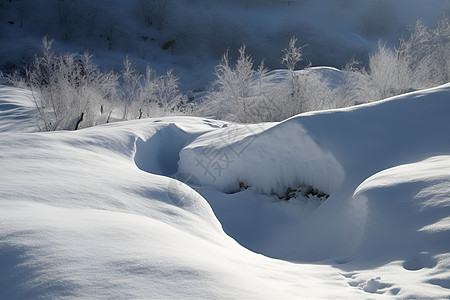 冬日雪地图片