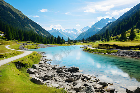 夏季郁郁葱葱的山谷景观图片