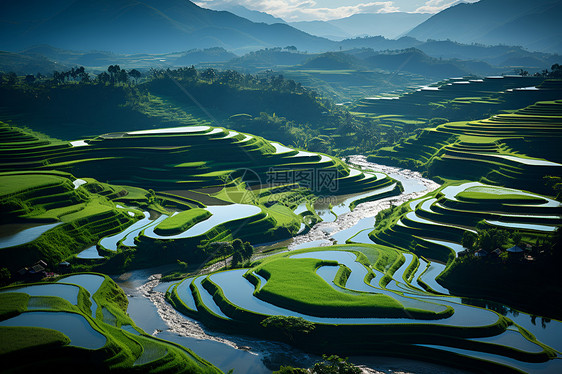 夏季乡村种植的山谷梯田图片