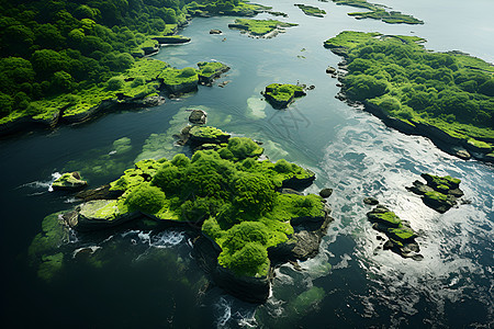 海湾浅滩的自然风光图片