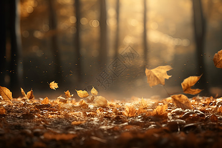 森林中的落叶图片
