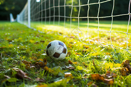 足球静静地躺在草地上图片
