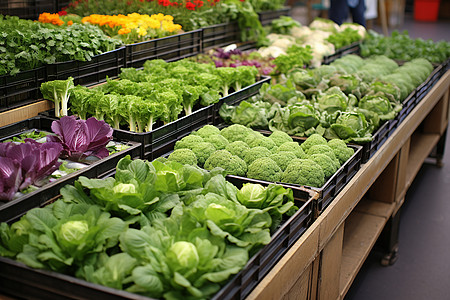 多种蔬菜摆在货架上图片