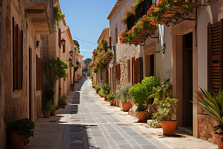 窄巷盛开的盆栽图片