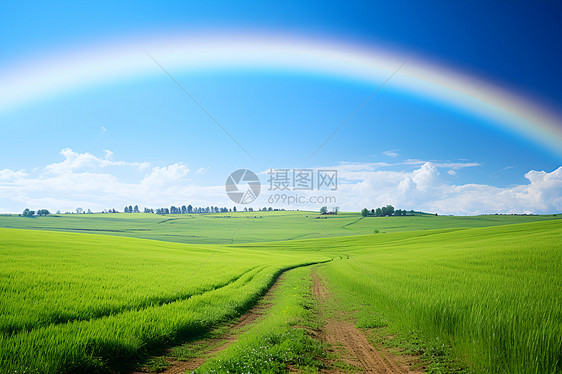 草原与彩虹图片