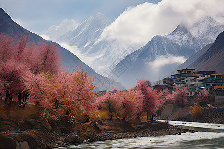 冰雪中的卡拉科拉姆山脉图片