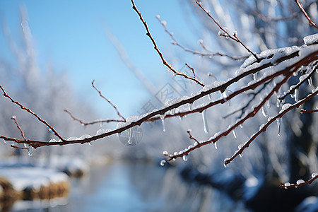 冰雪中的美景图片