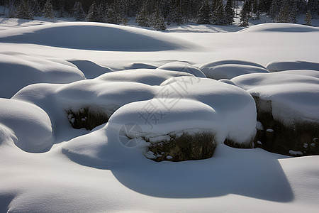 瑟瑟白雪图片