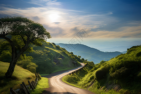 穿过青翠山谷的道路图片