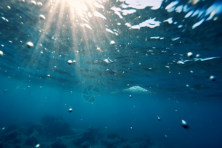 阳光照射的海底世界图片