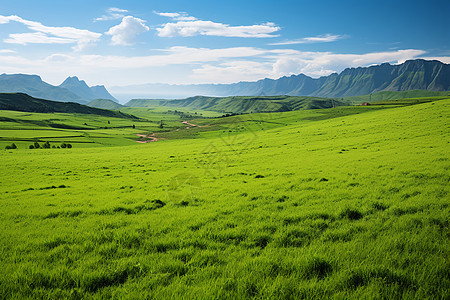 清新自然的山谷草原景观背景图片