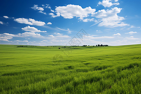 夏季风景优美的草原景观背景图片