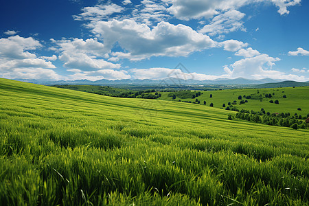 天空蓝天白云下的绿色草原背景图片