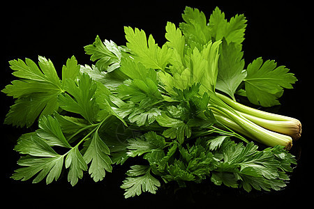 健康有机的芹菜蔬菜图片