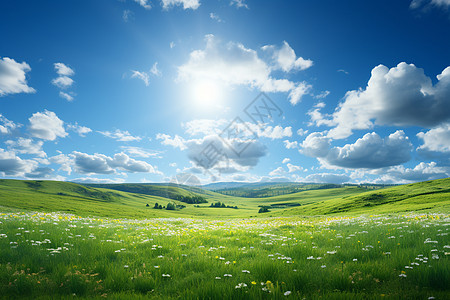 清新绿意的山谷草原景观背景图片