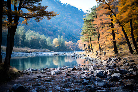 美丽的湖泊风景图片